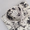 CK Black & White Floral Shirt